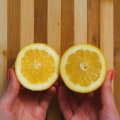 Citrus Flavors in Natural Magnesium Gummies