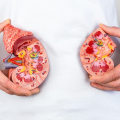Exploring the Side Effects of Magnesium on Kidney Function