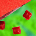 Everything You Need To Know About Dates in Vegan Magnesium Gummies