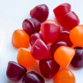 Organic Fruits and Vegetables in Natural Magnesium Gummies