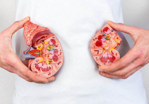 Exploring the Side Effects of Magnesium on Kidney Function