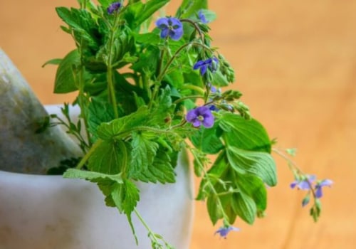 The Benefits of Stevia in Vegan Magnesium Gummies